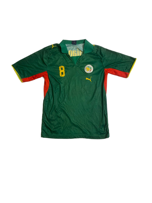 Senegal football jersey