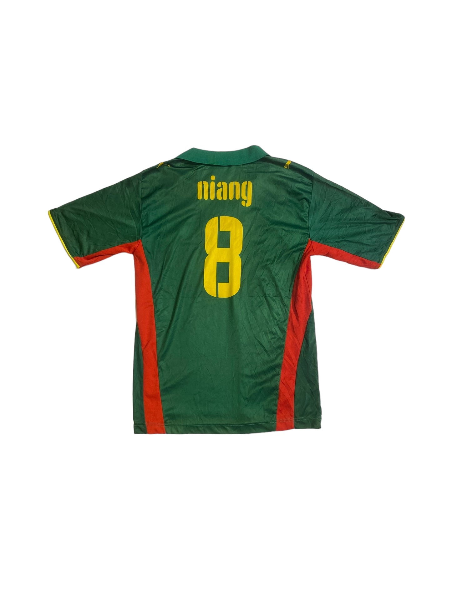 Senegal football jersey