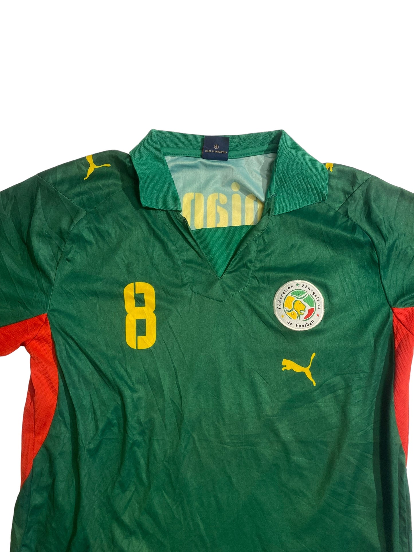 Senegal football jersey