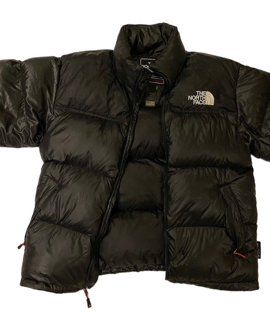 The north face limited edition 2011 korea puffer